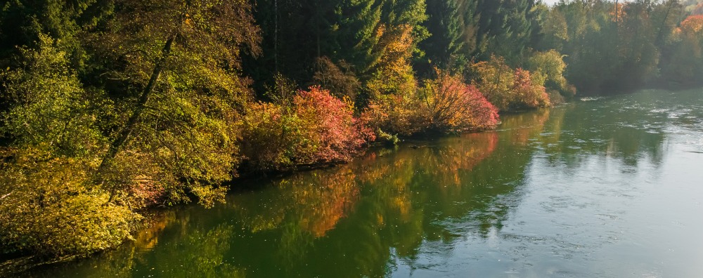 A calm river bordered by trees with autumn foliage, reflecting yellow, orange, and green colors in the water.